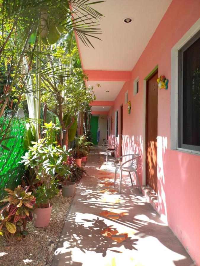 מלון ואיאדוליד Casona Del Negro Aguilar מראה חיצוני תמונה